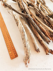 Natural driftwood pieces, versatile for crafts, decor, or beach-themed designs.