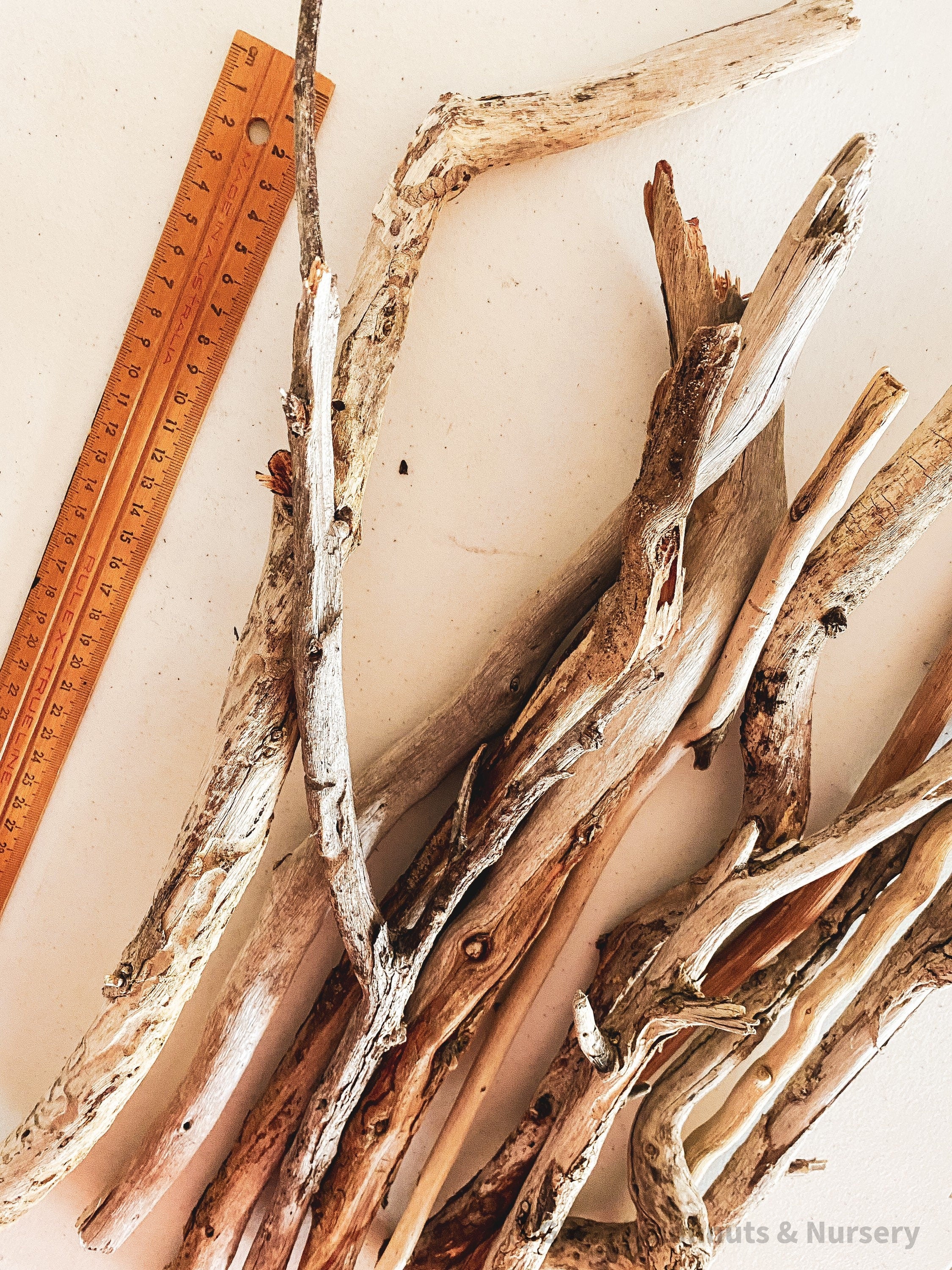 Natural driftwood pieces, versatile for crafts, decor, or beach-themed designs.