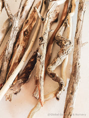 Natural driftwood pieces, versatile for crafts, decor, or beach-themed designs.