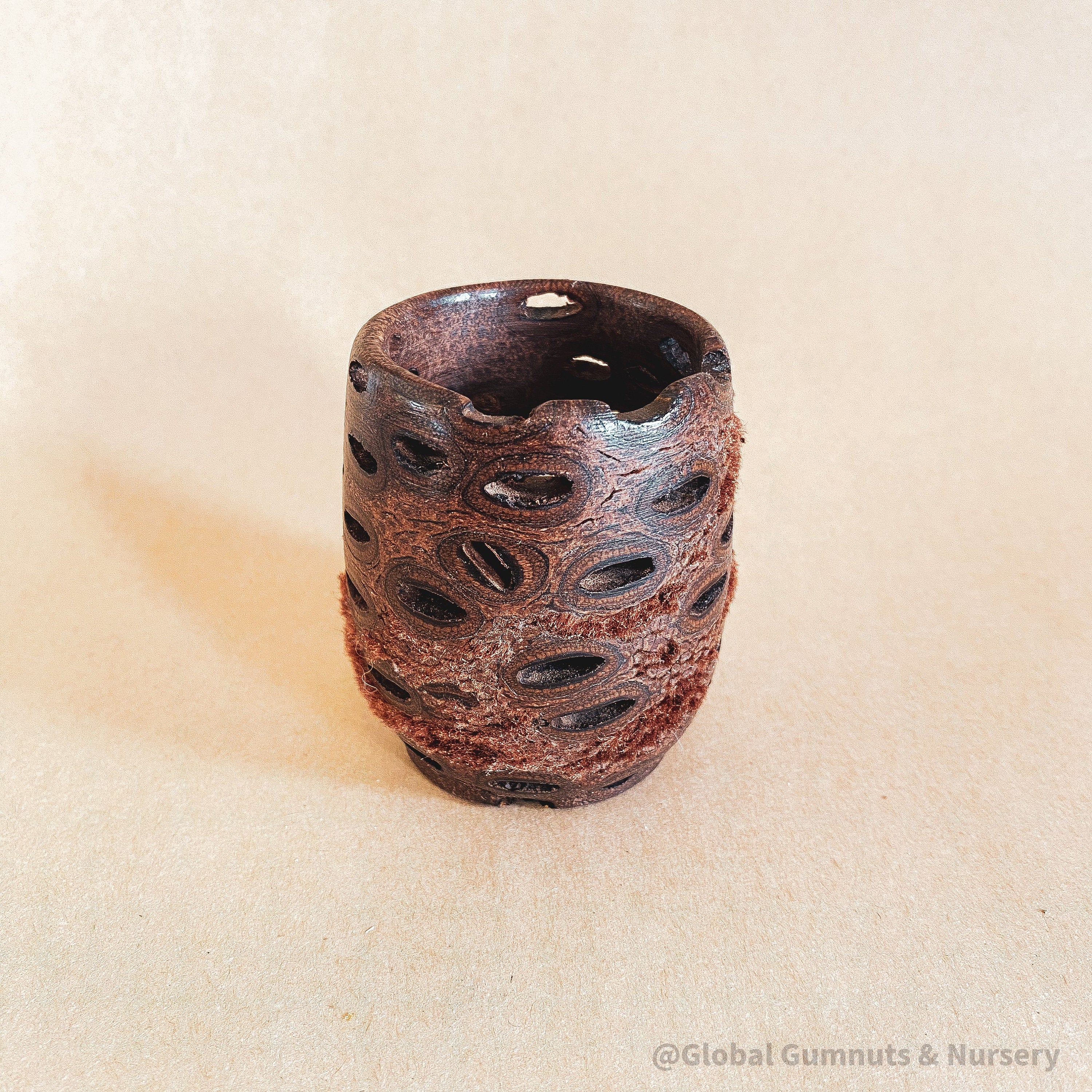 Single Hollow Tea Light – Banksia Flowers: Natural hollow tea light holder, inspired by banksia flowers, bringing charm to any setting.