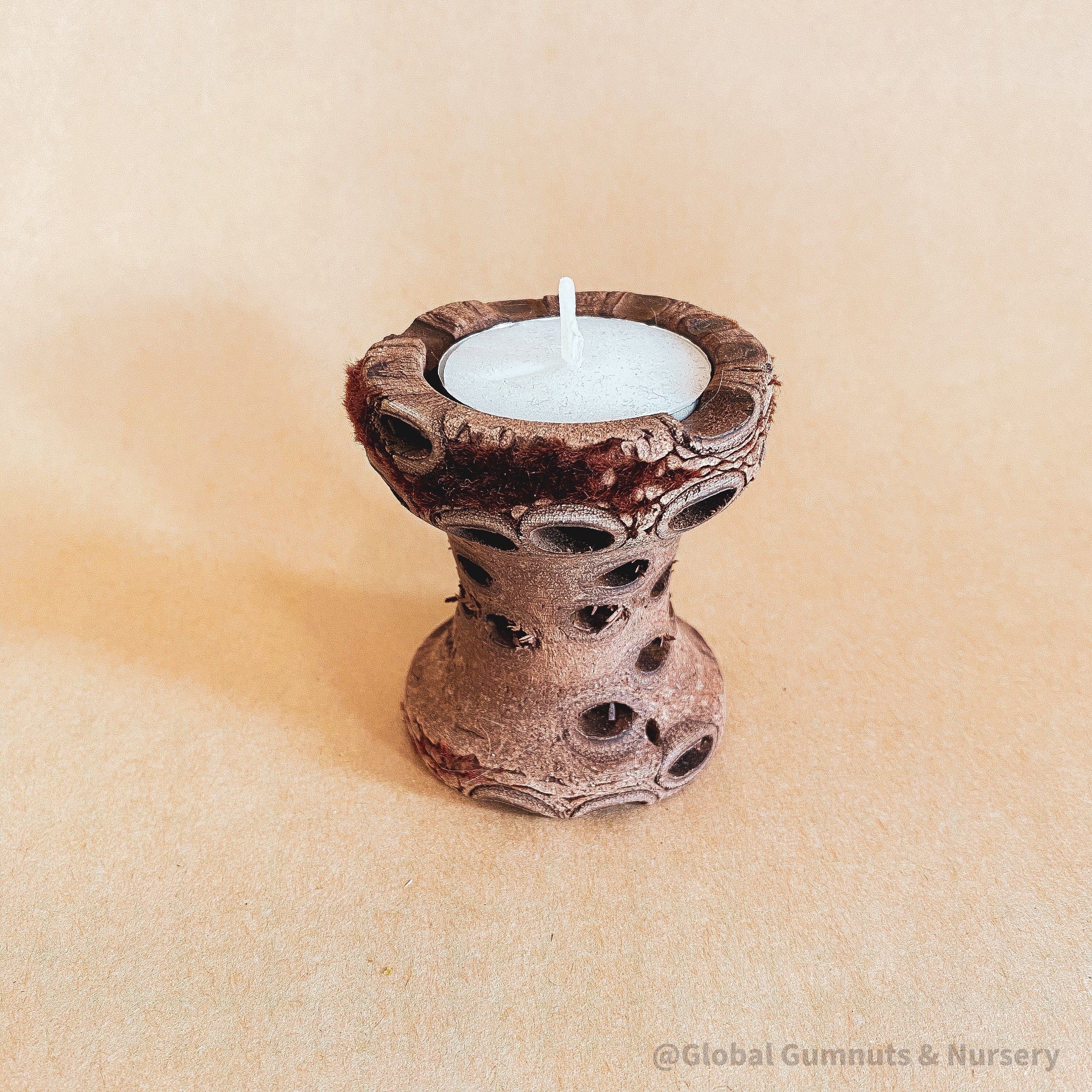 Medium Banksia Tea Light Candle: Natural banksia pod holder for tealight candles.