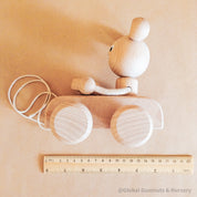 Whimsical wooden push-pull toy, handcrafted and eco-friendly fun for kids.