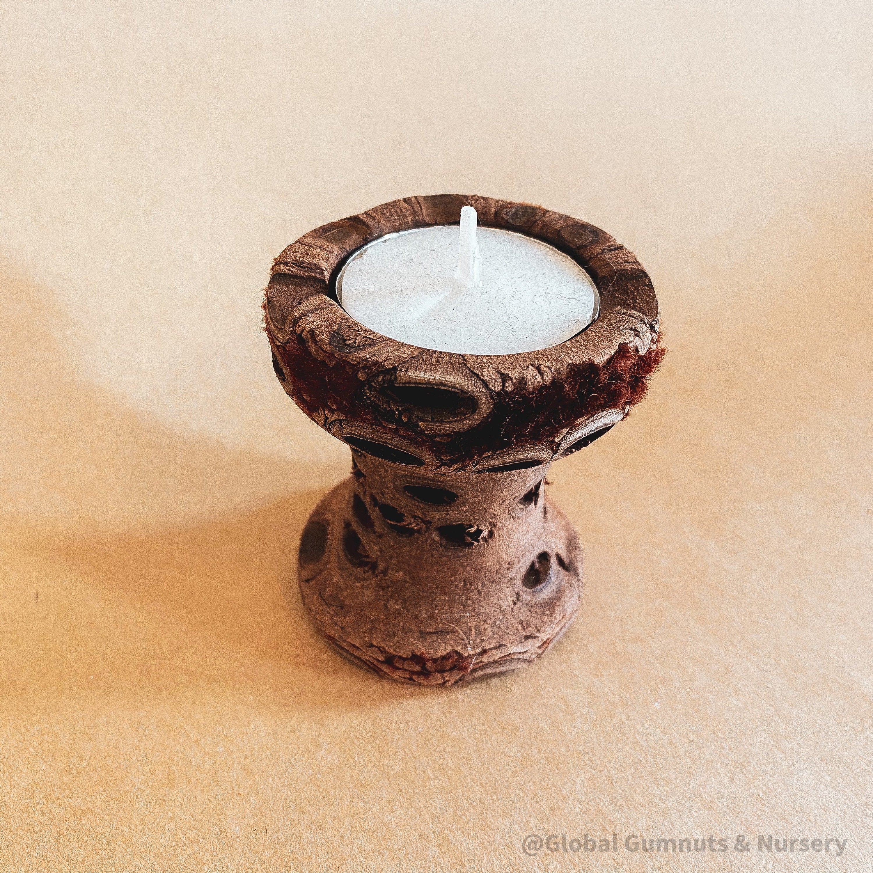 Medium Banksia Tea Light Candle: Natural banksia pod holder for tealight candles.