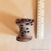 Medium Banksia Tea Light Candle: Natural banksia pod holder for tealight candles.