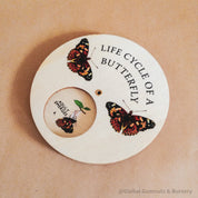 Butterfly Life Cycle Wheel: Montessori-style wooden spinner dial depicting the butterfly life cycle, perfect for educational play.