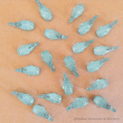 resin whale shark: miniature resin whale shark for marine-themed crafts and small-world play.