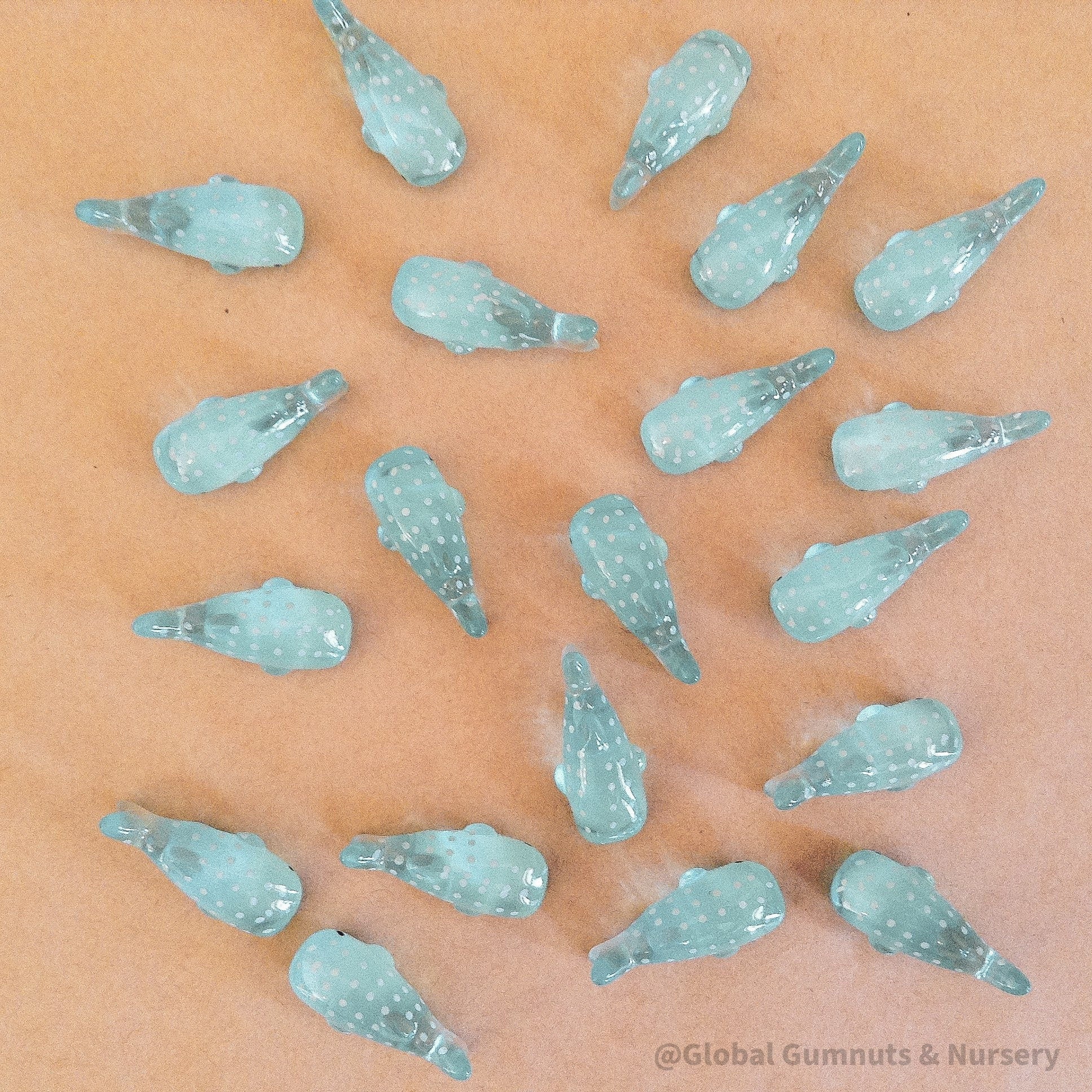 resin whale shark: miniature resin whale shark for marine-themed crafts and small-world play.