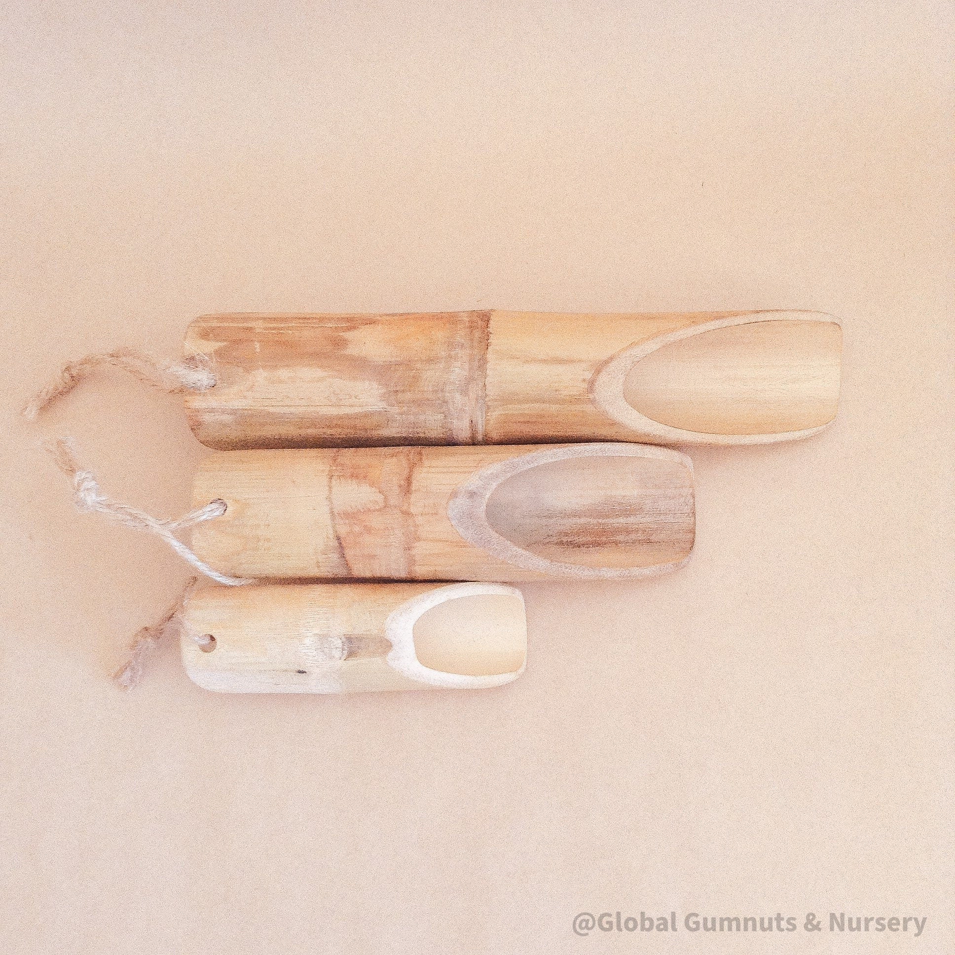 Bamboo Scoops (Set of 3): Set of three large bamboo scoops for sensory activities.