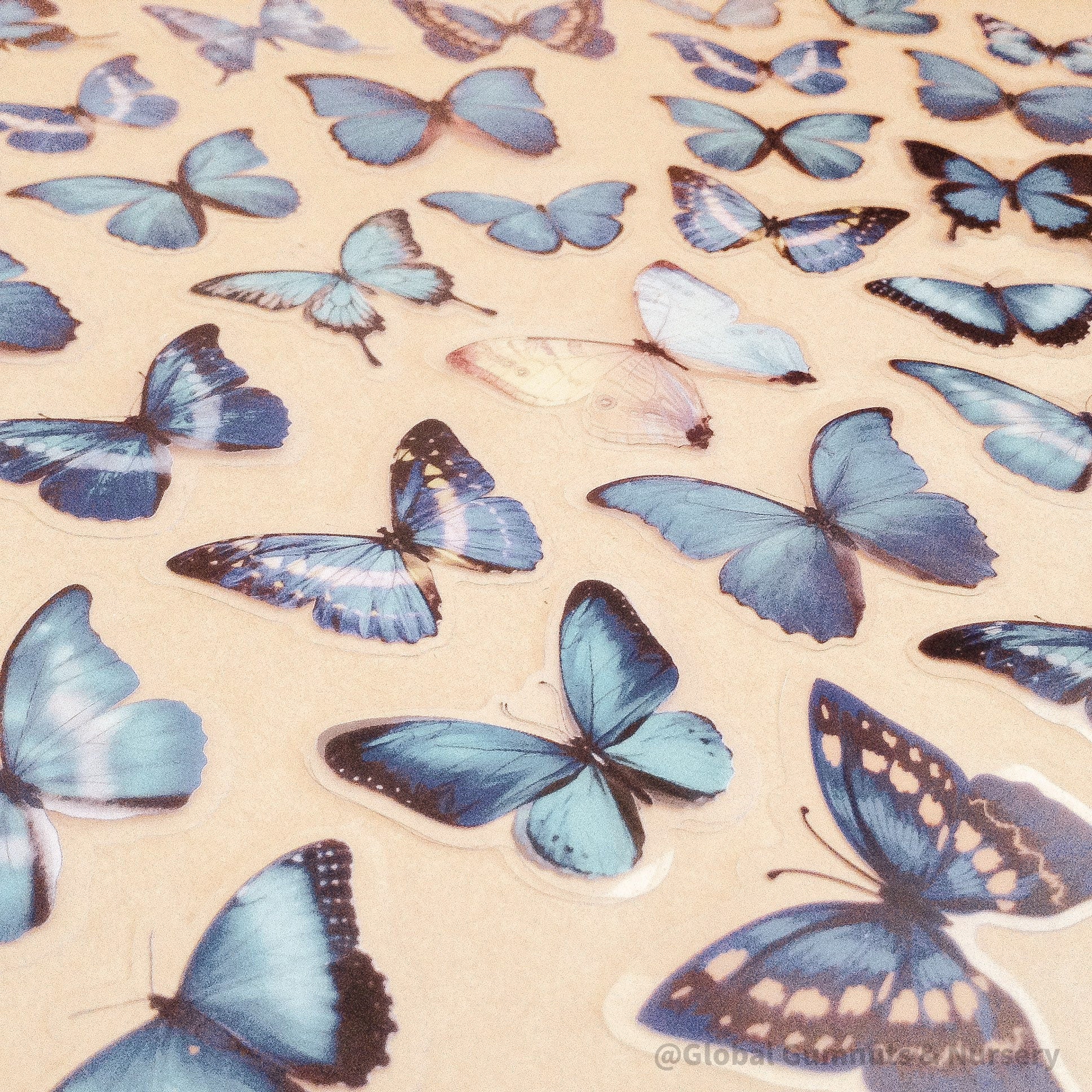 Amazing Butterfly Pretty Blue Collection: Set of blue butterfly figurines, available in 5 or 10 pieces, perfect for crafts or decorations.