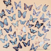 Amazing Butterfly Pretty Blue Collection: Set of blue butterfly figurines, available in 5 or 10 pieces, perfect for crafts or decorations.