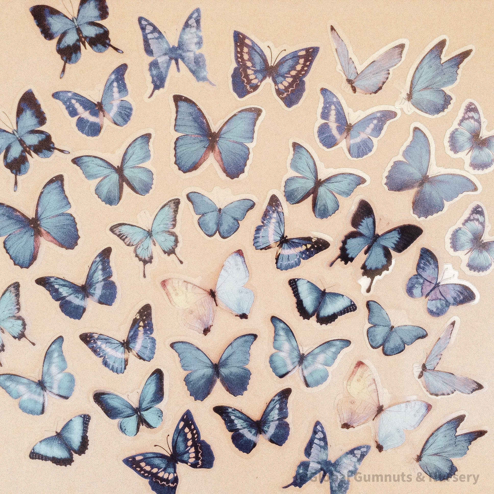 Amazing Butterfly Pretty Blue Collection: Set of blue butterfly figurines, available in 5 or 10 pieces, perfect for crafts or decorations.