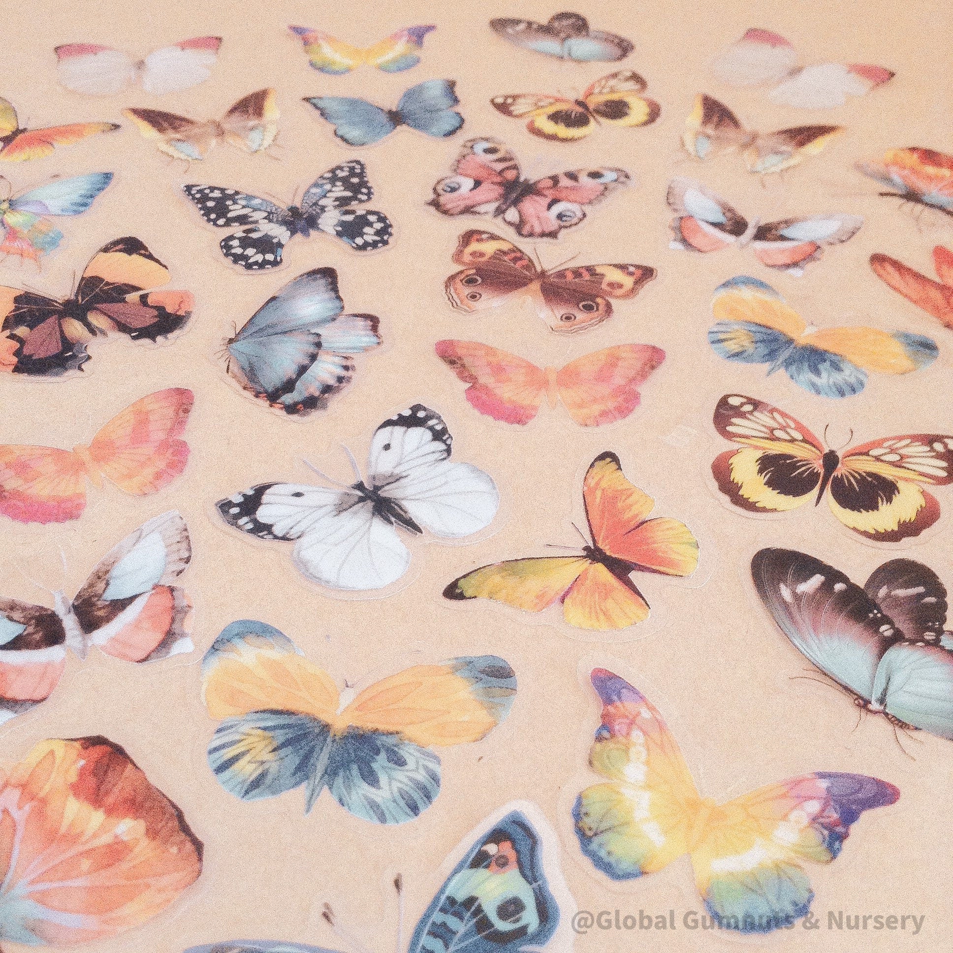Amazing Butterfly Rainbow Collection: Set of 5 or 10 vibrant rainbow-colored butterfly decorations.