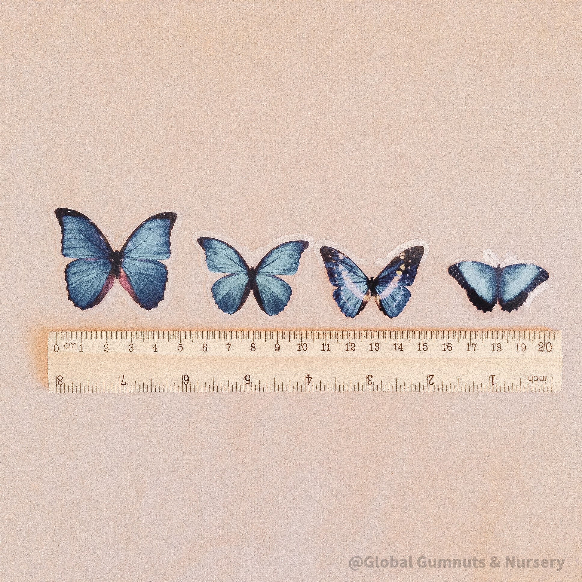 Amazing Butterfly Pretty Blue Collection: Set of blue butterfly figurines, available in 5 or 10 pieces, perfect for crafts or decorations.