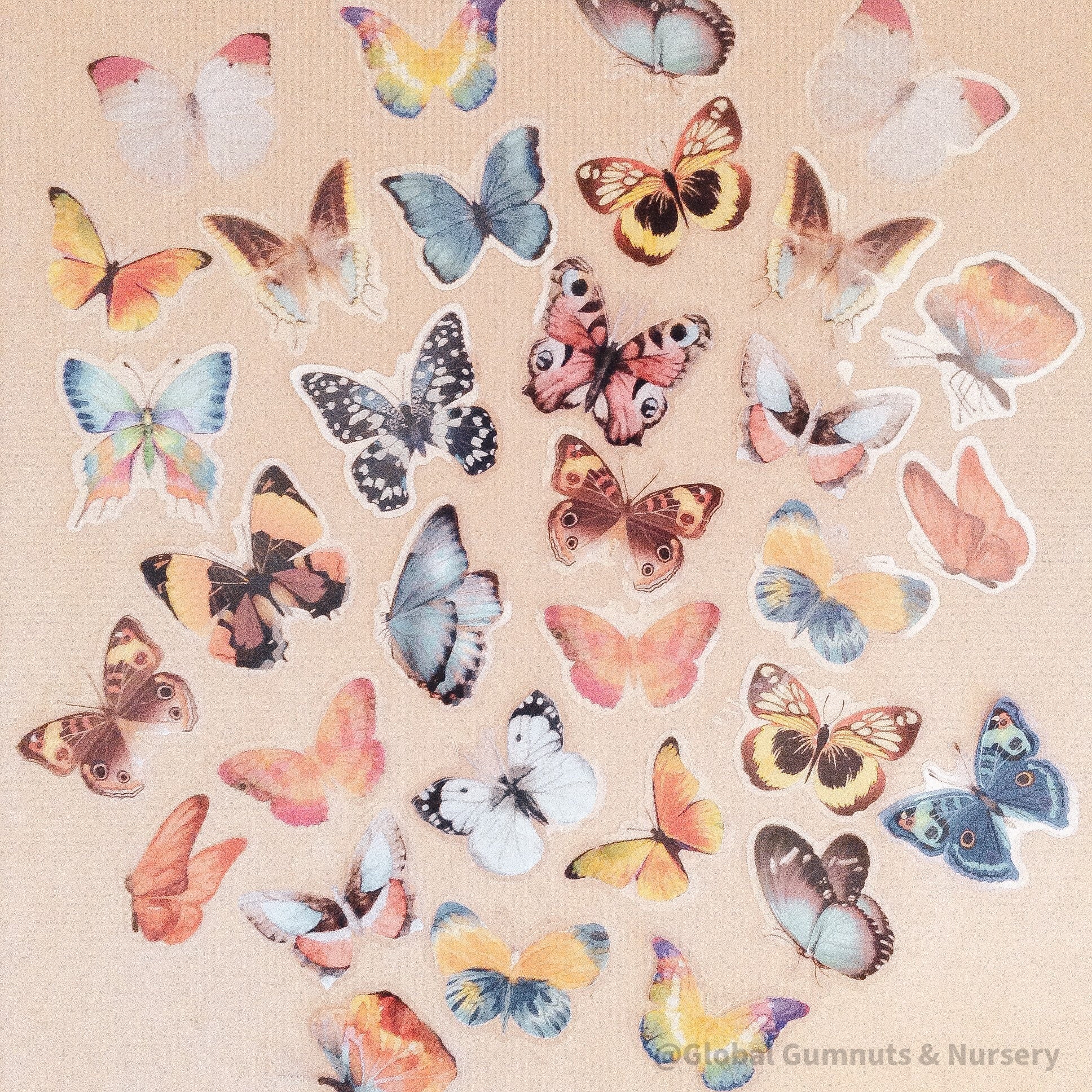 Amazing Butterfly Rainbow Collection: Set of 5 or 10 vibrant rainbow-colored butterfly decorations.