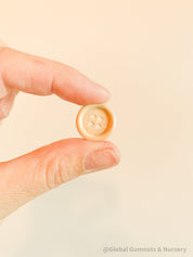 Natural Wooden Buttons: Raw wood buttons ideal for counting and sorting.