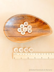 Natural Wooden Buttons: Raw wood buttons ideal for counting and sorting.