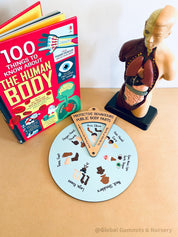 Interactive Protective Behaviours Spinner Dial: Educational wooden spinner with viewer window, teaching kids about personal body safety.