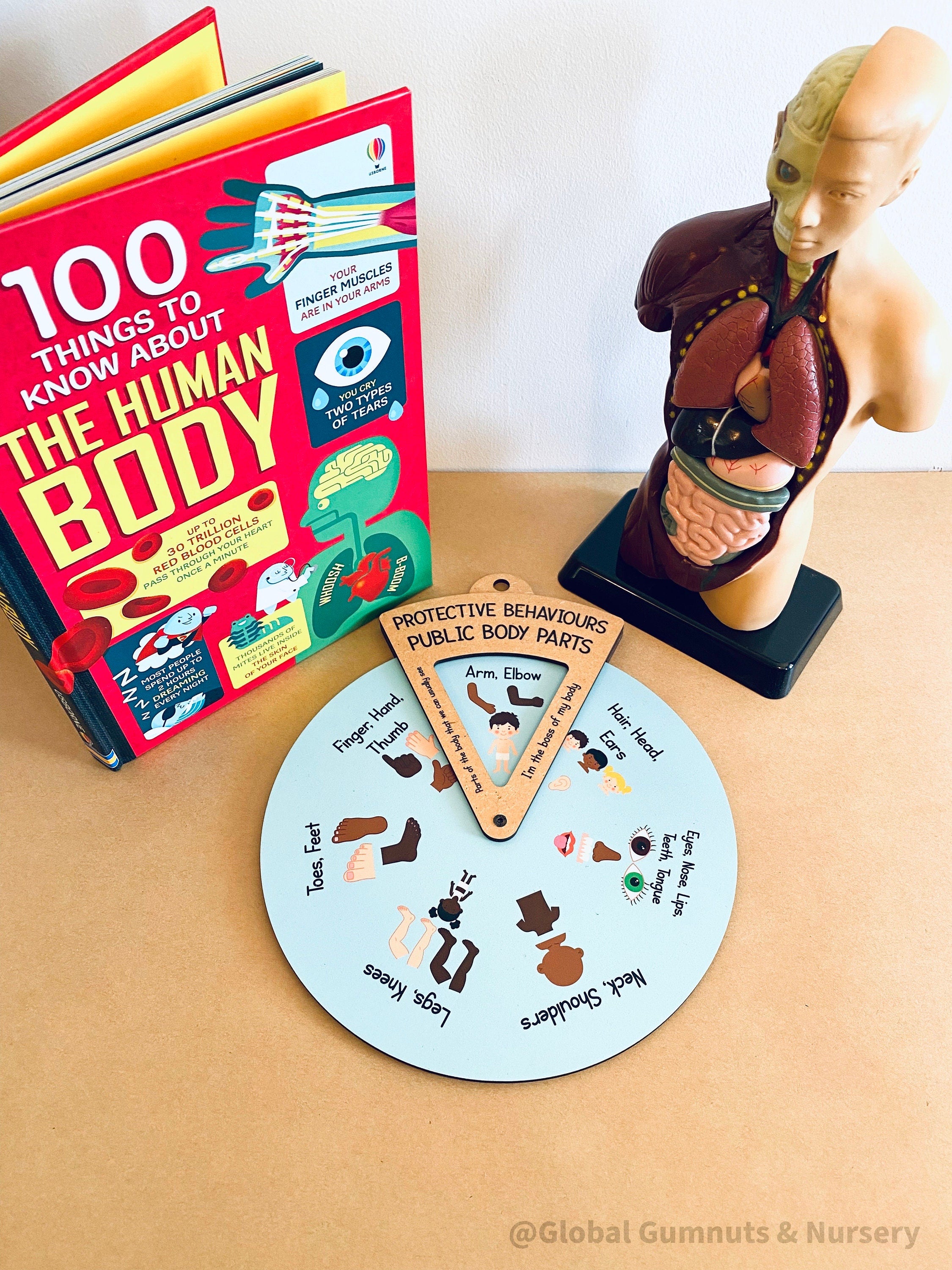 Interactive Protective Behaviours Spinner Dial: Educational wooden spinner with viewer window, teaching kids about personal body safety.