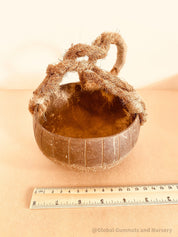 Coconut Play Basket: Eco-friendly play basket designed for beach adventures.