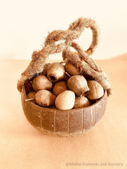 Coconut Play Basket: Eco-friendly play basket designed for beach adventures.