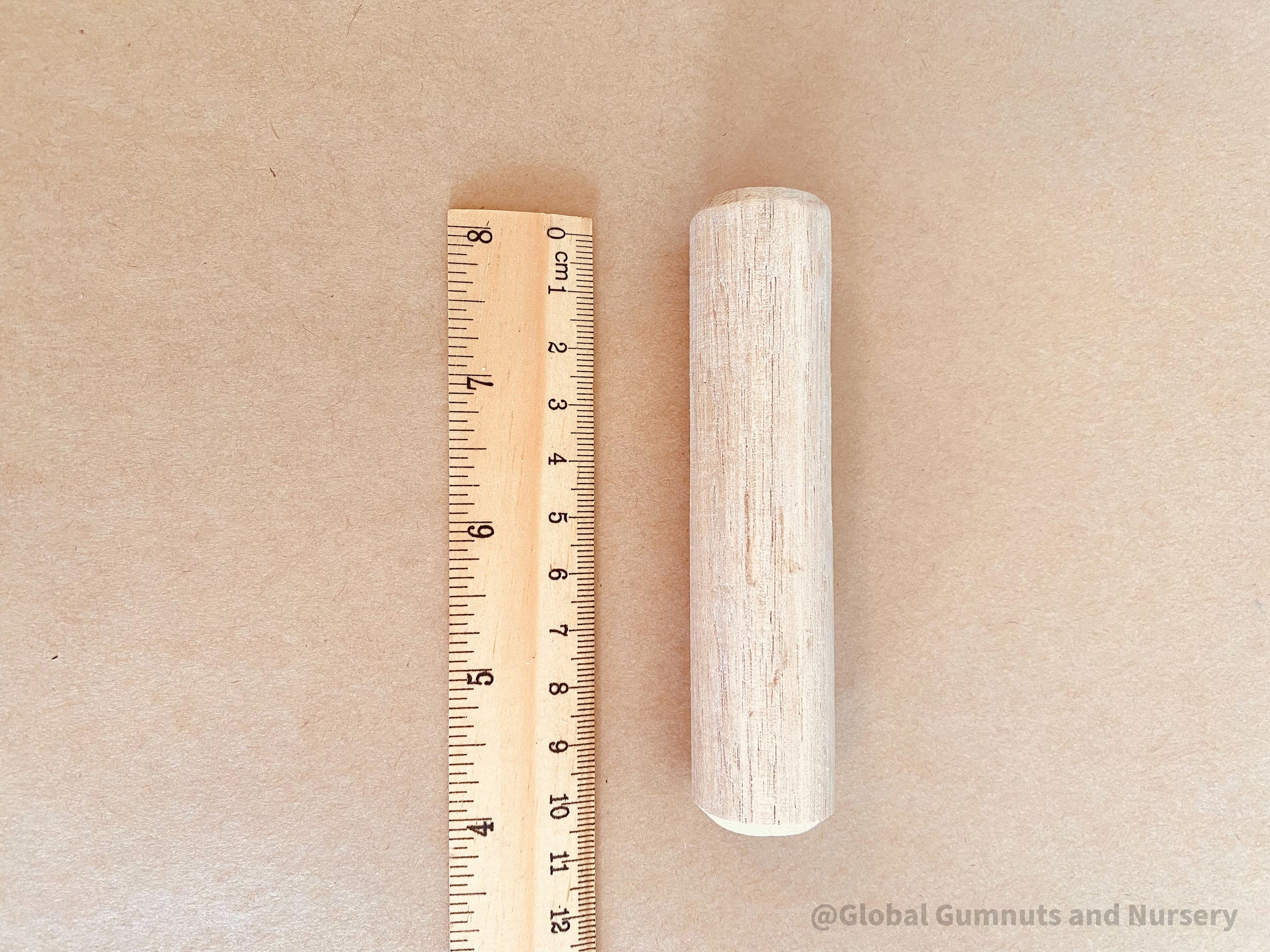 10cm Rolling Pin: Small wooden rolling pin for crafting and sensory activities.