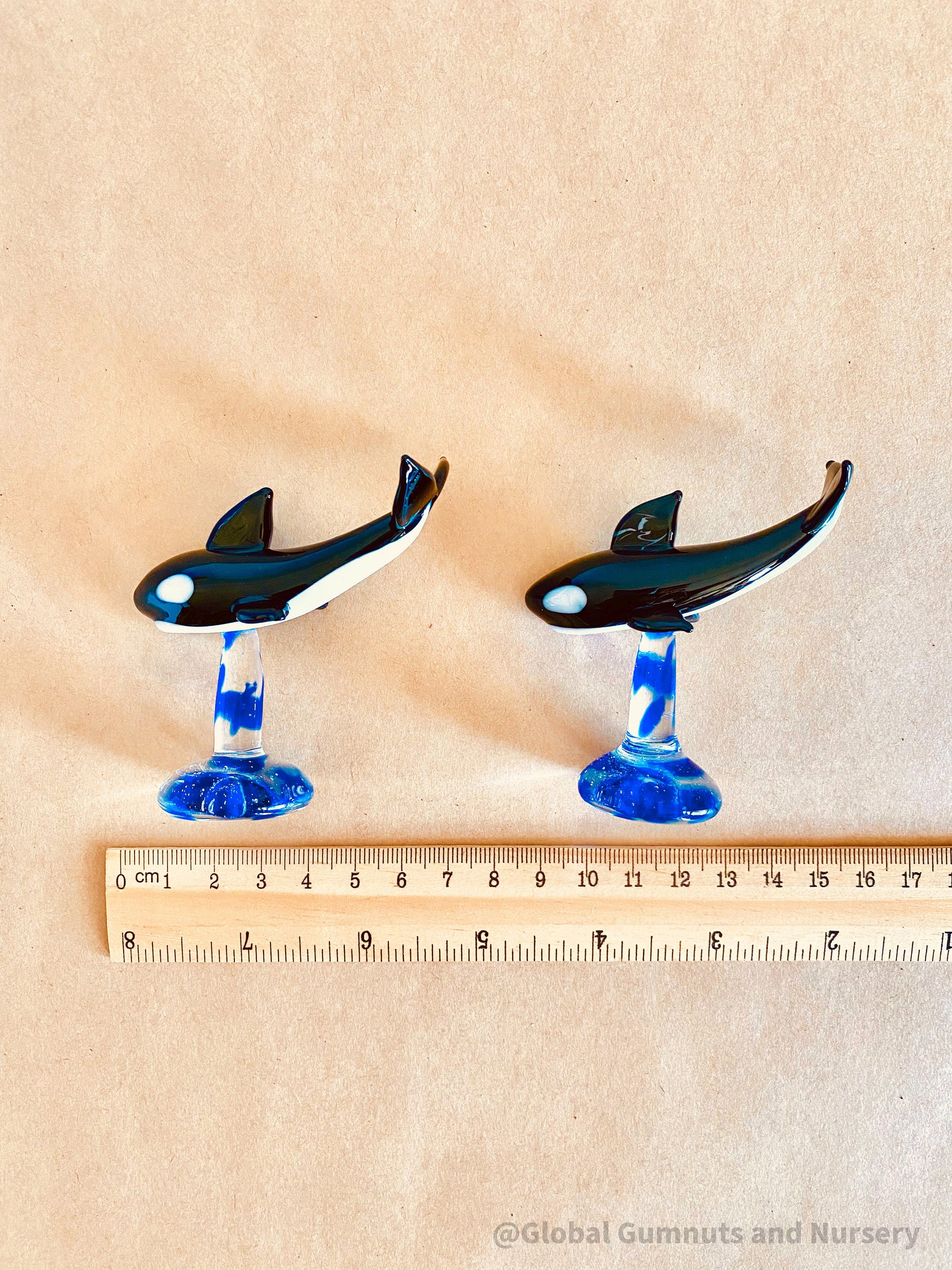 Glass killer whale figurine showcasing the beauty of Australian marine life, ideal for ocean-themed decor or small-world play.