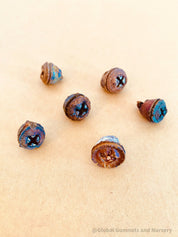 eucalyptus seeds: natural seeds for crafts, sensory play, or planting.