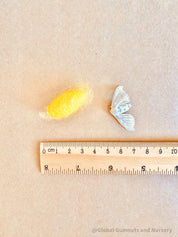resin silkworm lifecycle kit: educational resin kit showcasing the silkworm’s life cycle.