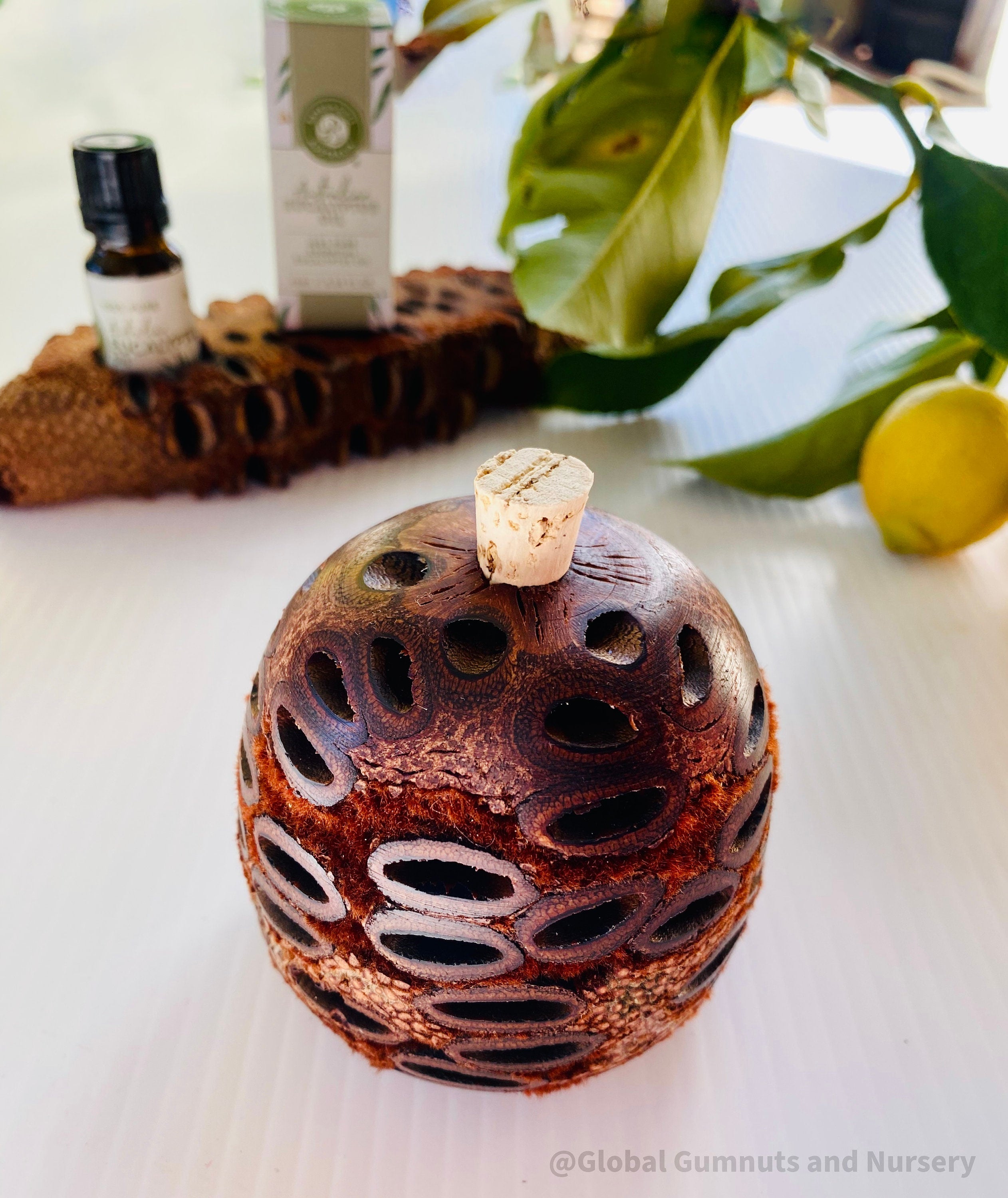 Banksia Essential Oil Diffuser: Large Banksia diffuser, optionally filled with eucalyptus oil, with a natural, unscented option.
