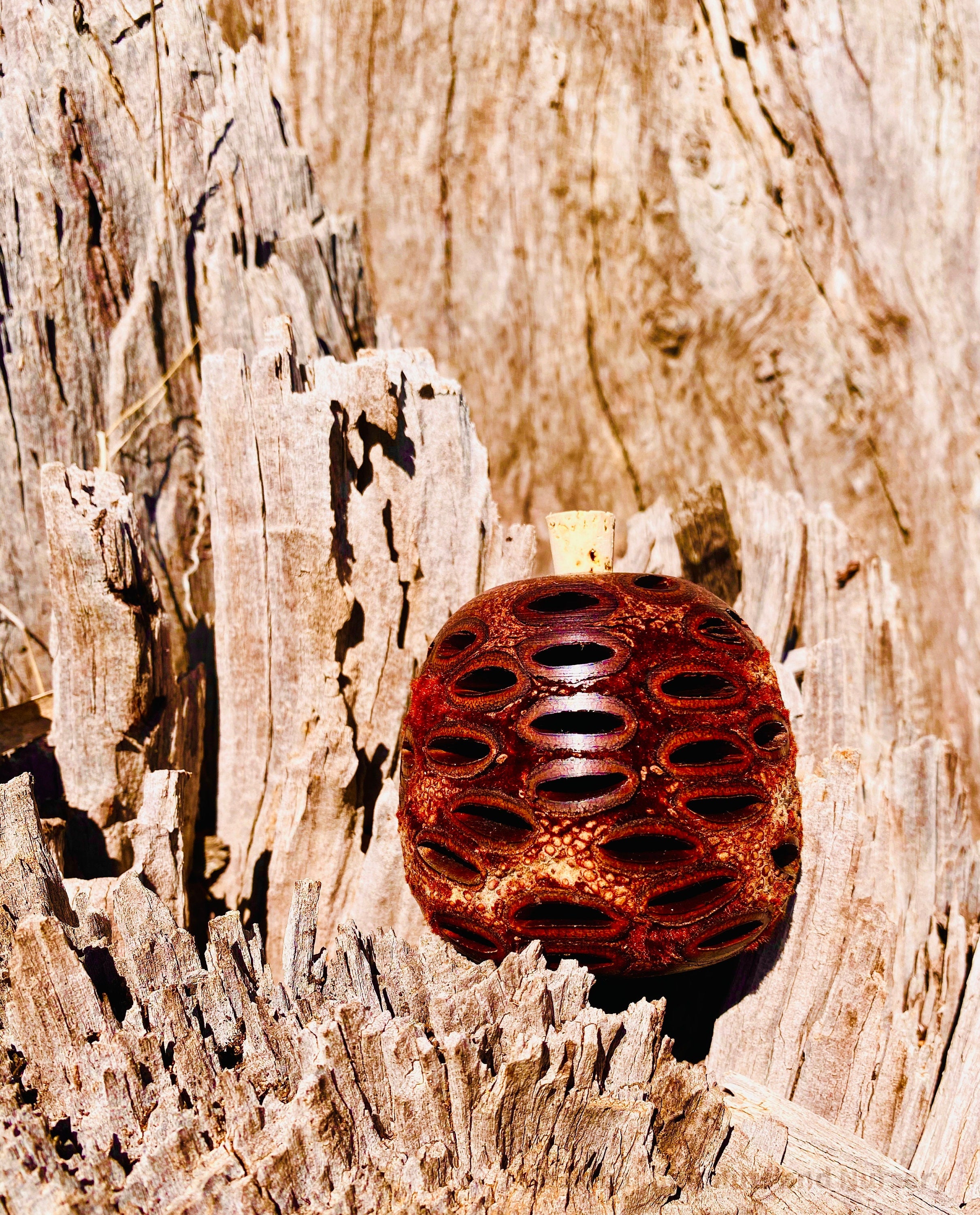 Banksia Essential Oil Diffuser: Large Banksia diffuser, optionally filled with eucalyptus oil, with a natural, unscented option.