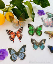 amazing butterfly collection: set of 10 colourful butterflies for craft or decor.
