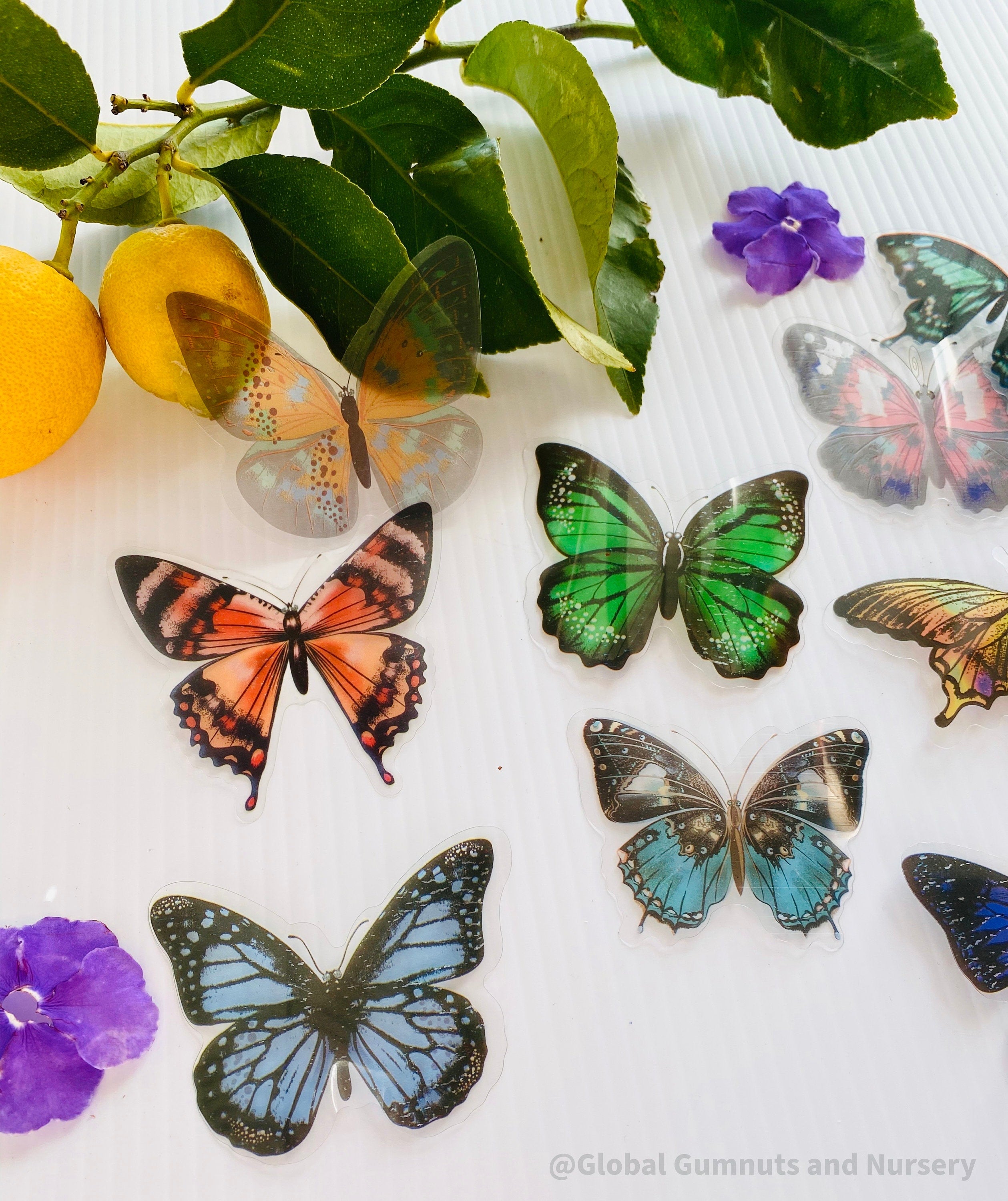 amazing butterfly collection: set of 10 colourful butterflies for craft or decor.