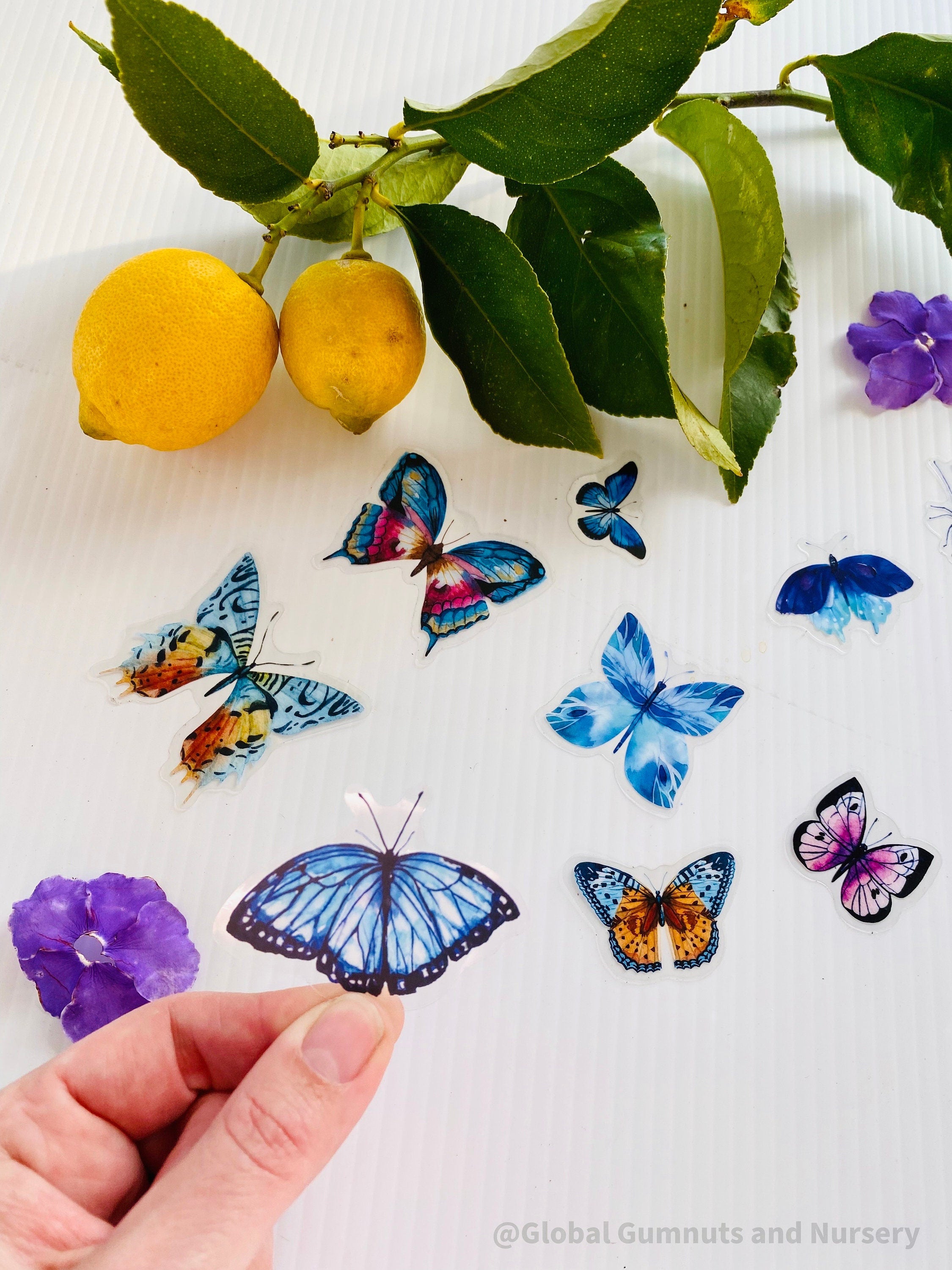 amazing butterfly blue collection: 5 or 10 vibrant blue butterflies for crafts or decor.