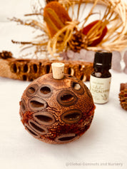 Small Banksia Essential Oil Diffuser: Compact banksia oil diffuser, perfect for filling small spaces with eucalyptus fragrance or natural aromas.
