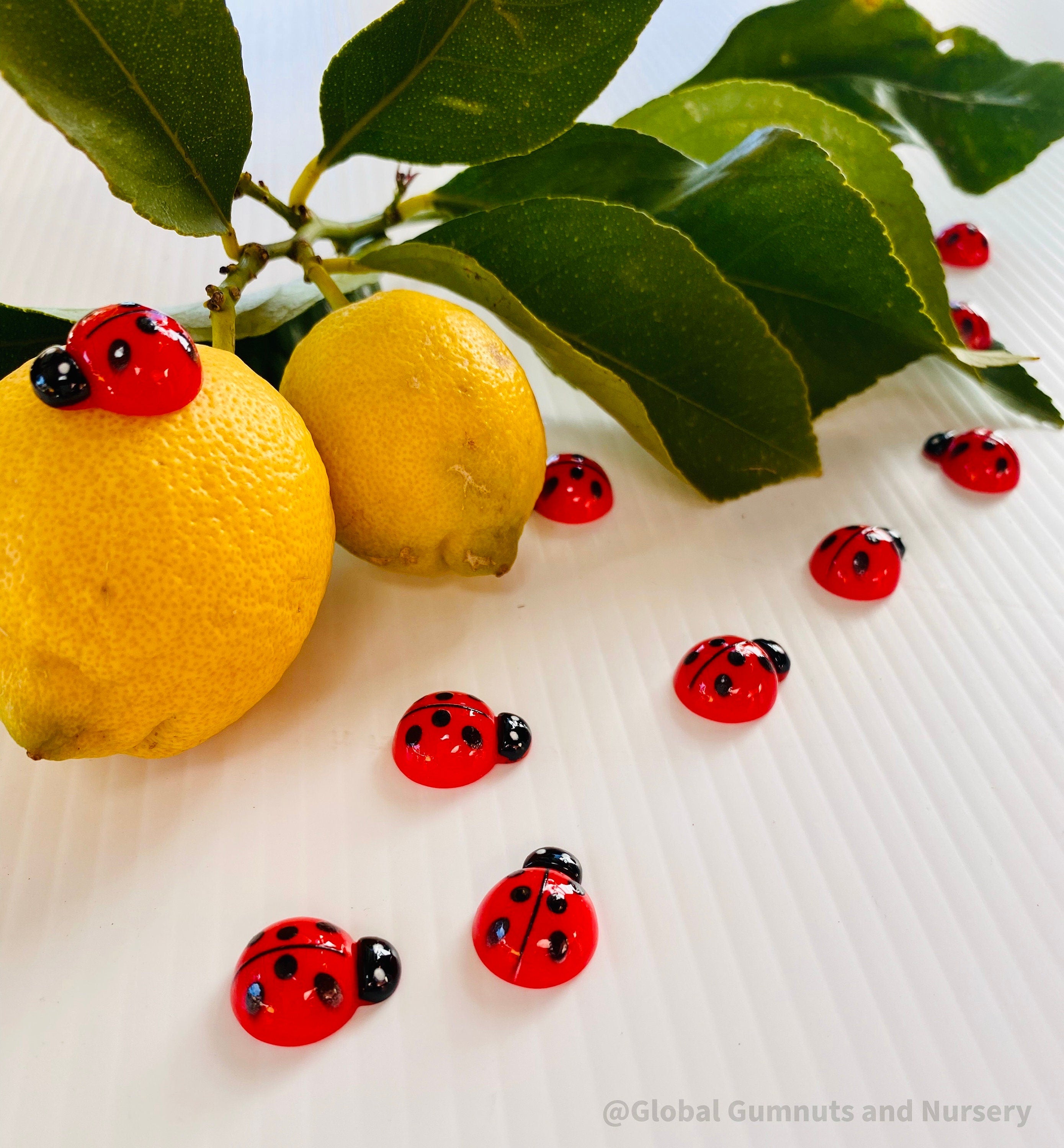 Enchanting Resin Ladybugs for Creative Crafting: Set of resin ladybugs, ideal for fairy gardens, DIY crafts, or nature-themed decorations.