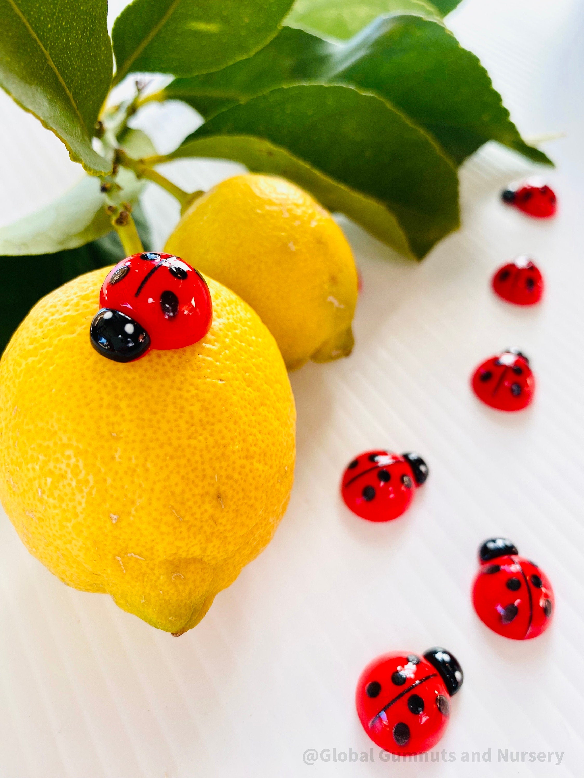 Enchanting Resin Ladybugs for Creative Crafting: Set of resin ladybugs, ideal for fairy gardens, DIY crafts, or nature-themed decorations.