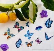 Amazing Butterfly BLUE Collection: 5 or 10 vibrant blue butterflies for crafts or decor.