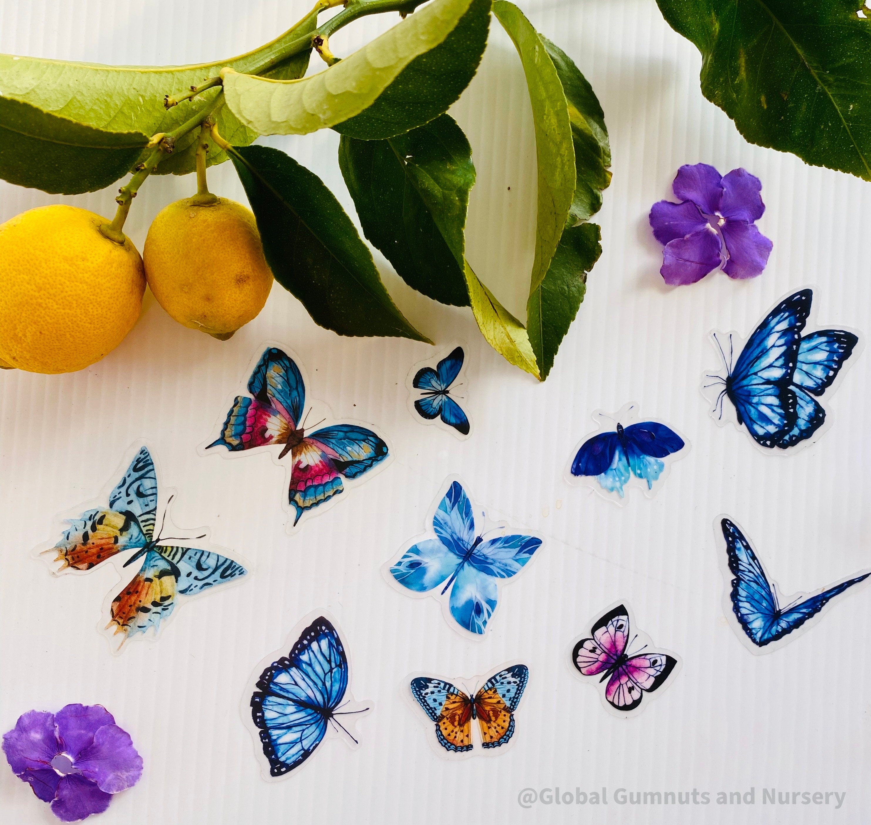 Amazing Butterfly BLUE Collection: 5 or 10 vibrant blue butterflies for crafts or decor.