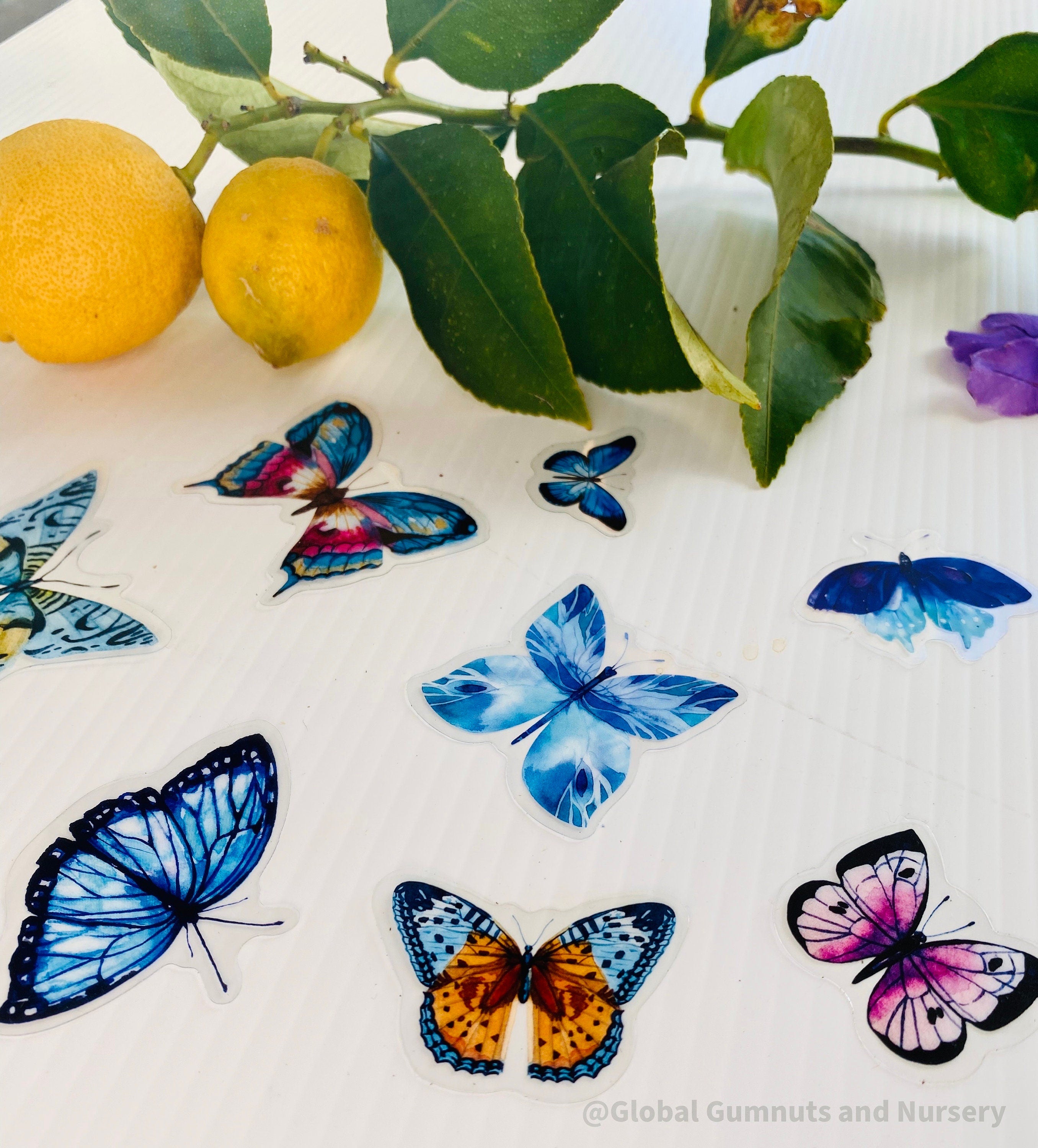 Amazing Butterfly BLUE Collection: 5 or 10 vibrant blue butterflies for crafts or decor.