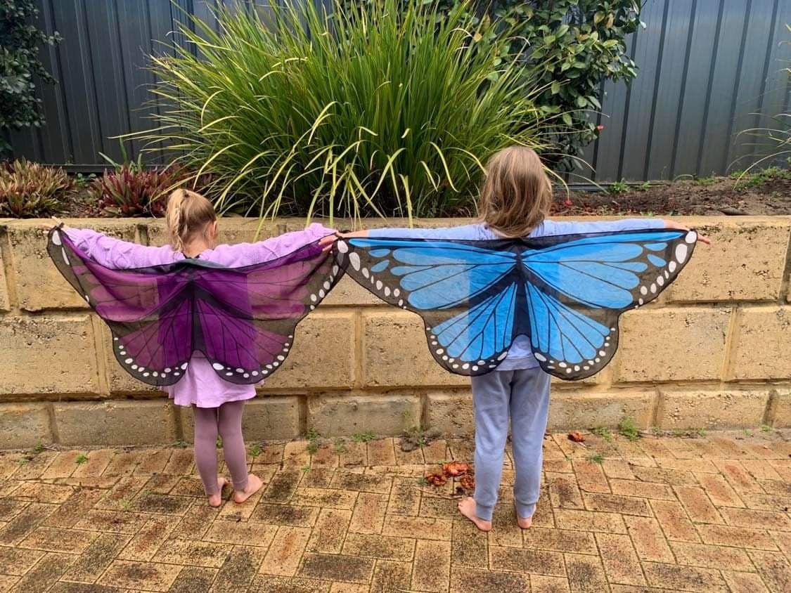 Vibrant butterfly wings for kids, custom chiffon designs with glitter and sparkle, perfect for dress-up or dance.