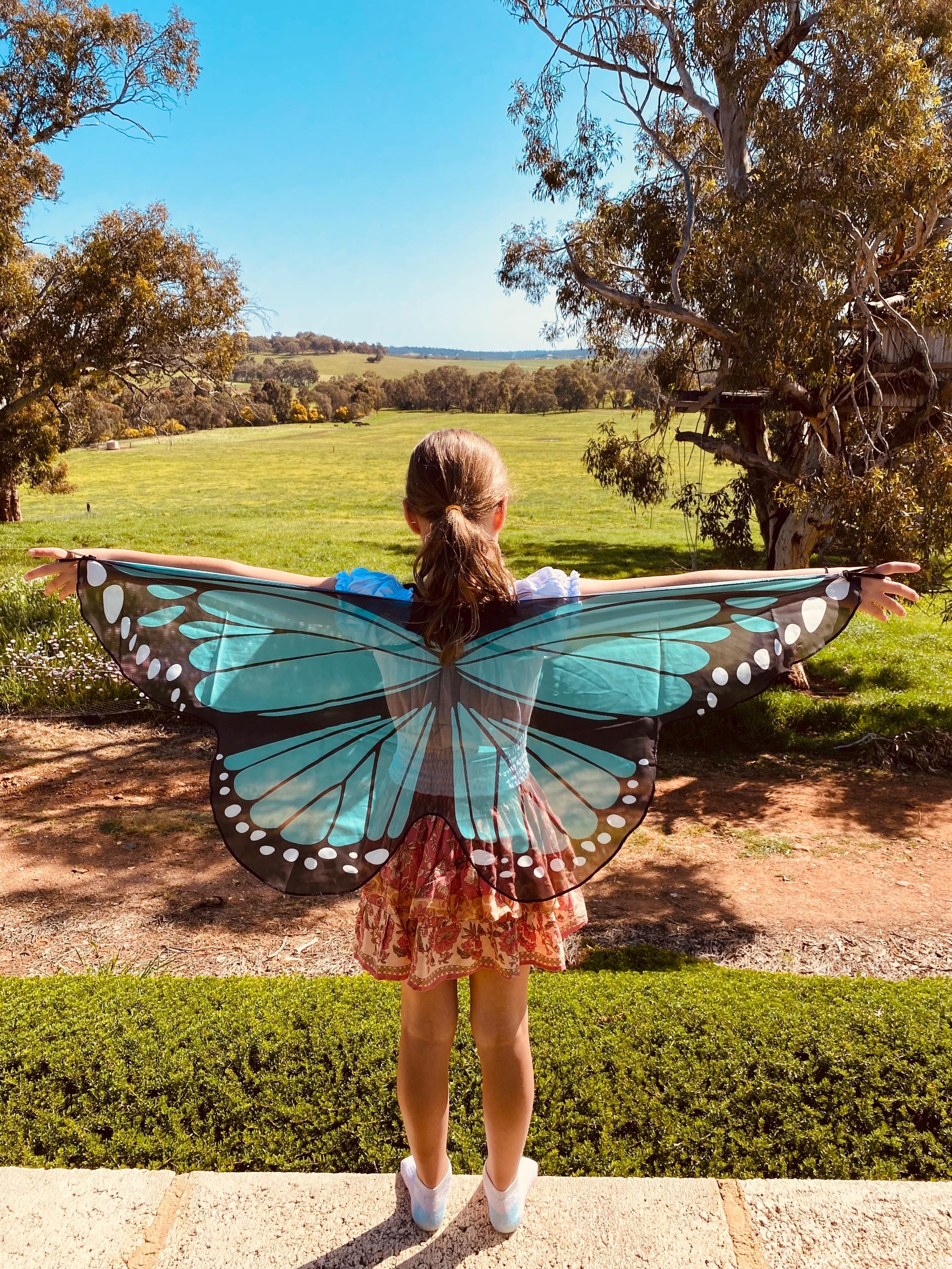 Vibrant butterfly wings for kids, custom chiffon designs with glitter and sparkle, perfect for dress-up or dance.