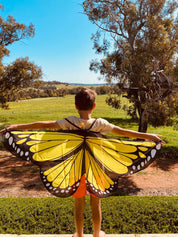 Vibrant butterfly wings for kids, custom chiffon designs with glitter and sparkle, perfect for dress-up or dance.