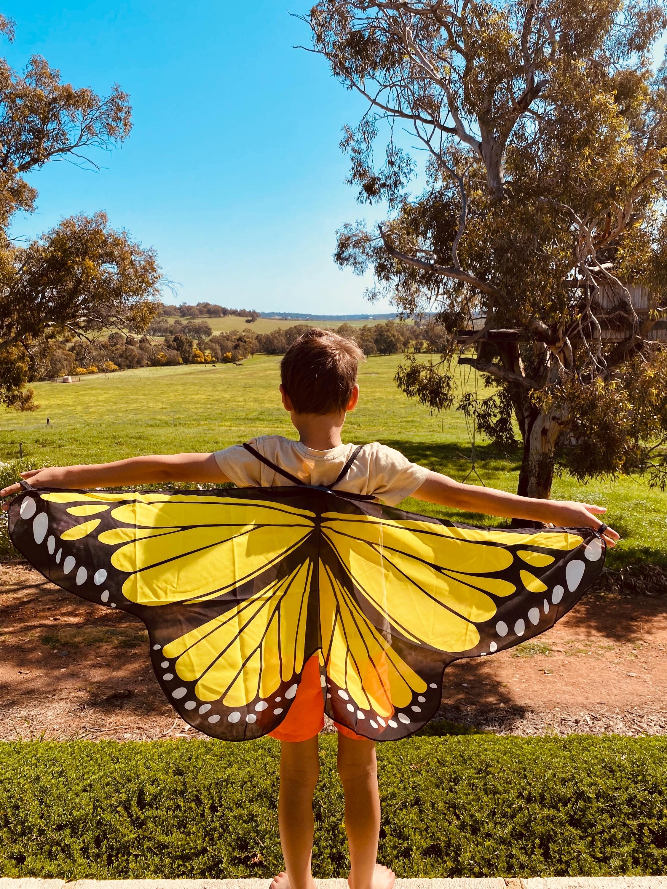 Vibrant butterfly wings for kids, custom chiffon designs with glitter and sparkle, perfect for dress-up or dance.