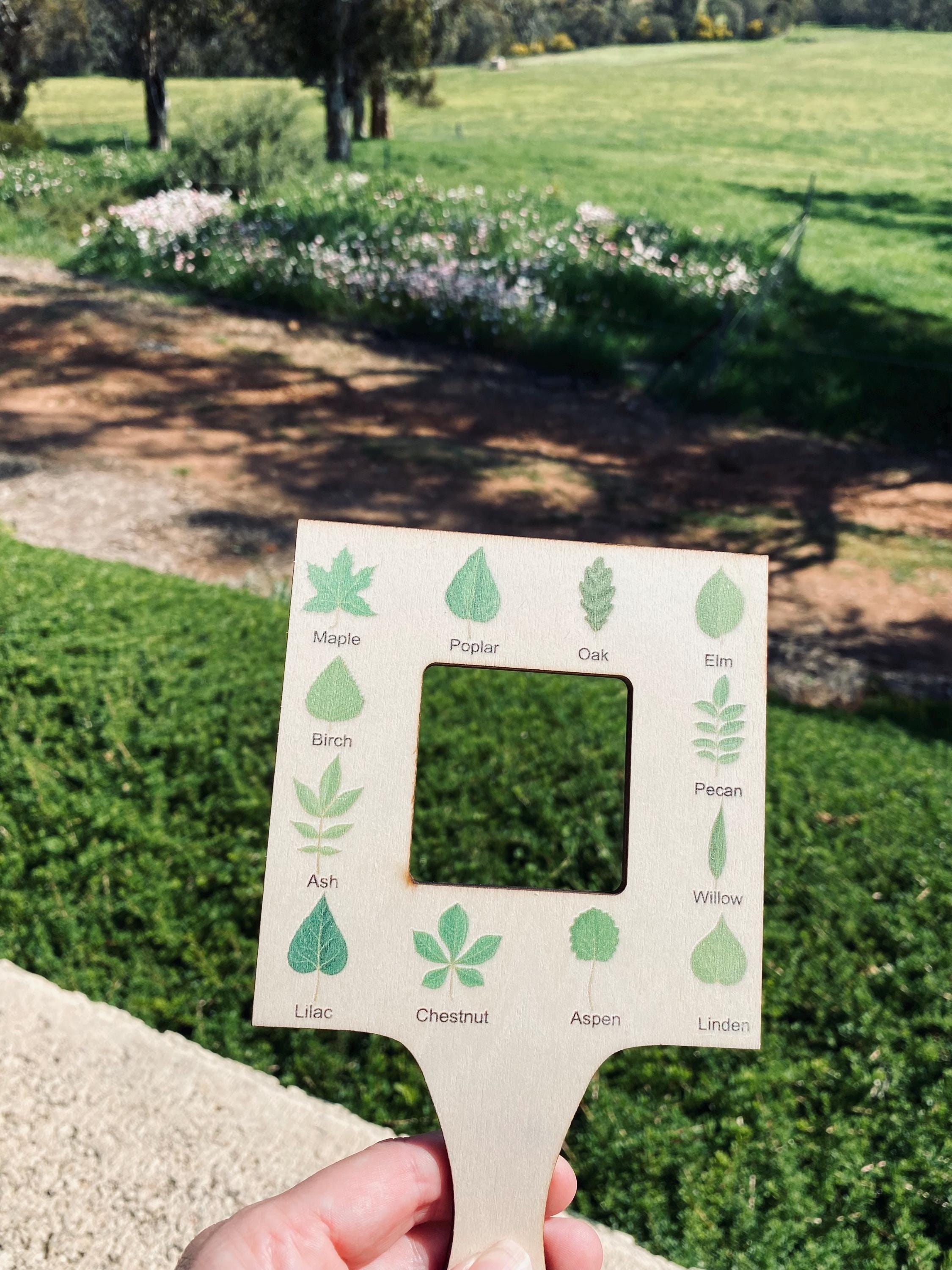 kids wooden view finder: nature exploration tool for observing clouds and leaves.