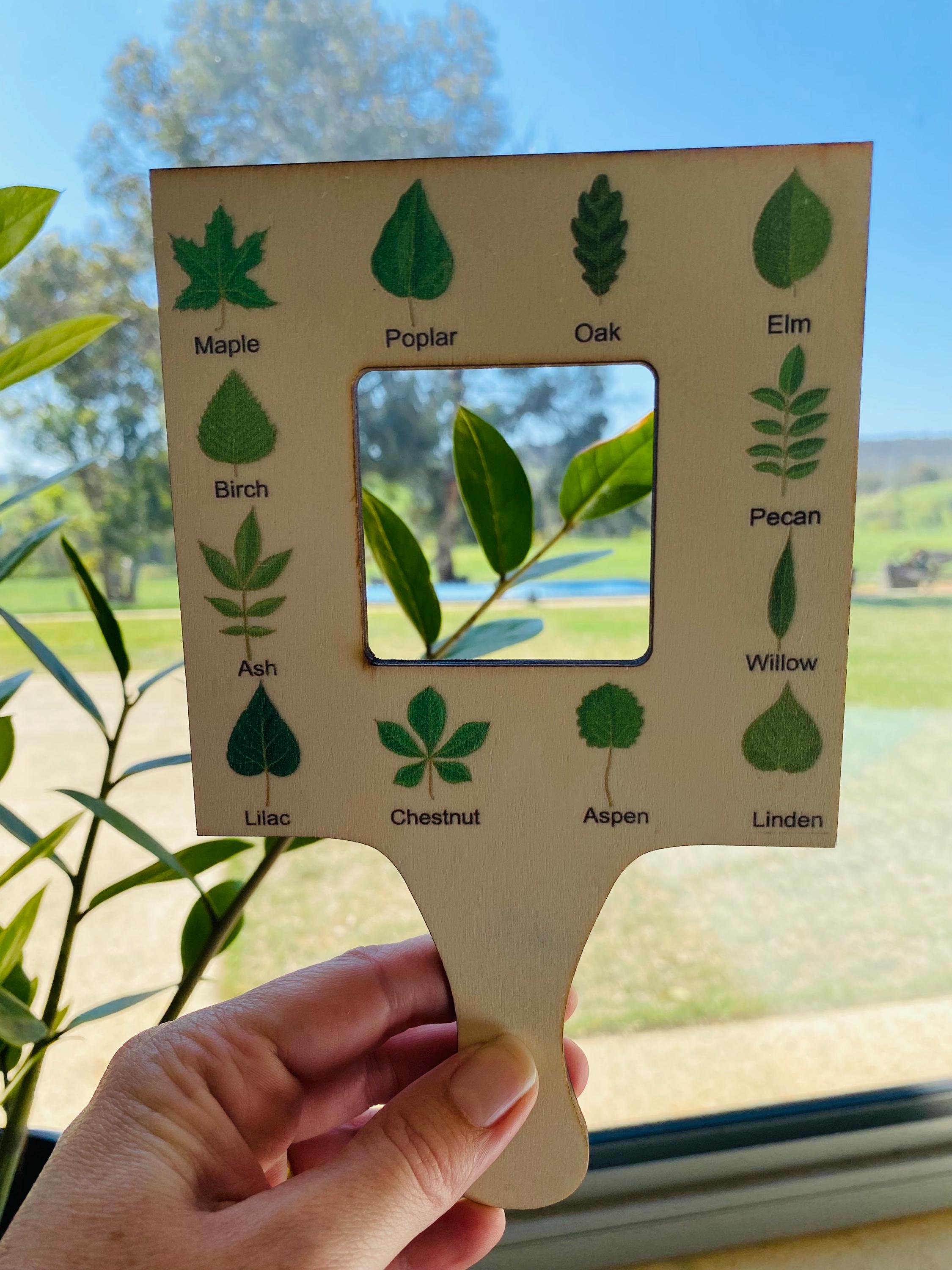 kids wooden view finder: nature exploration tool for observing clouds and leaves.