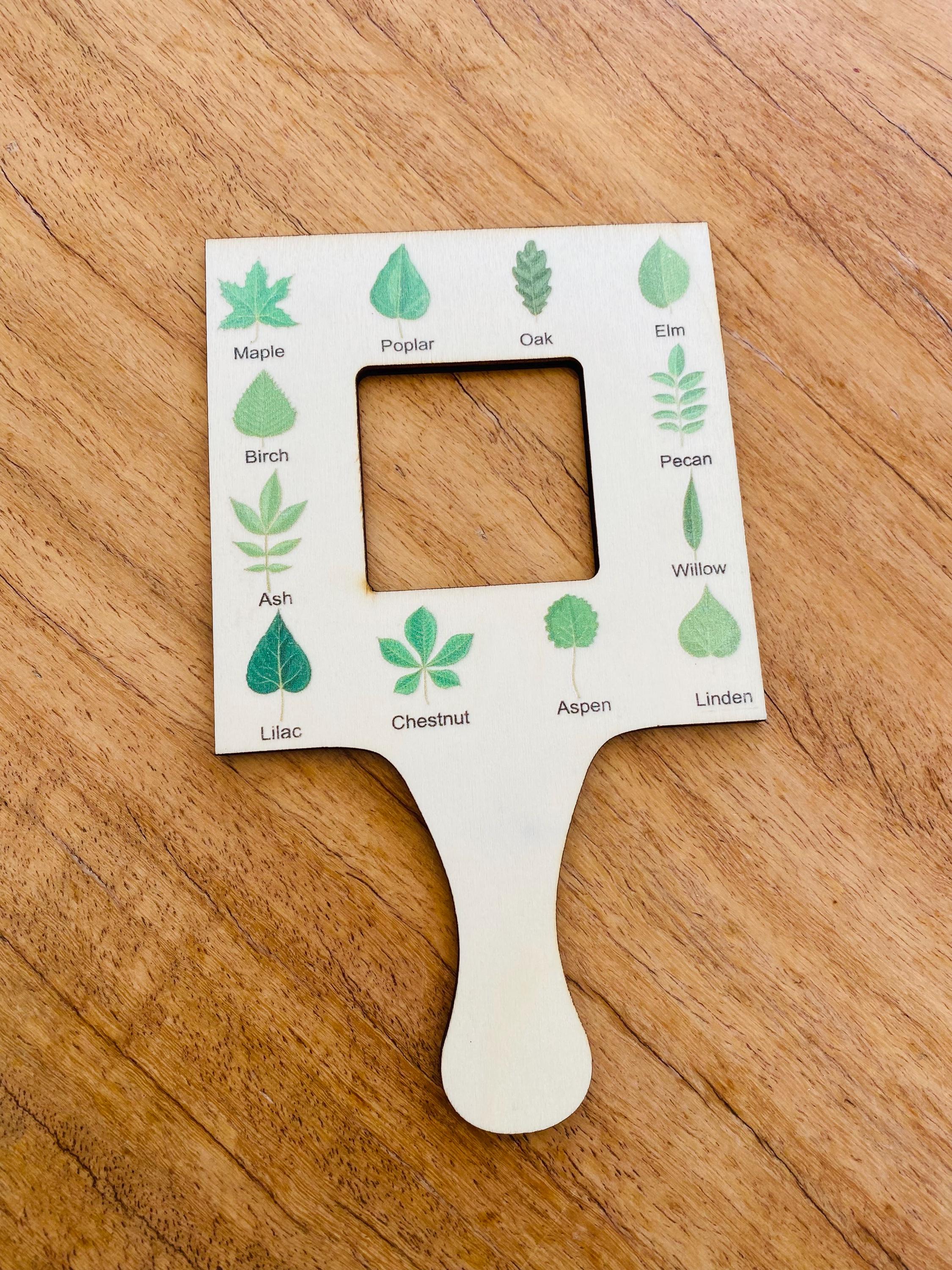 kids wooden view finder: nature exploration tool for observing clouds and leaves.