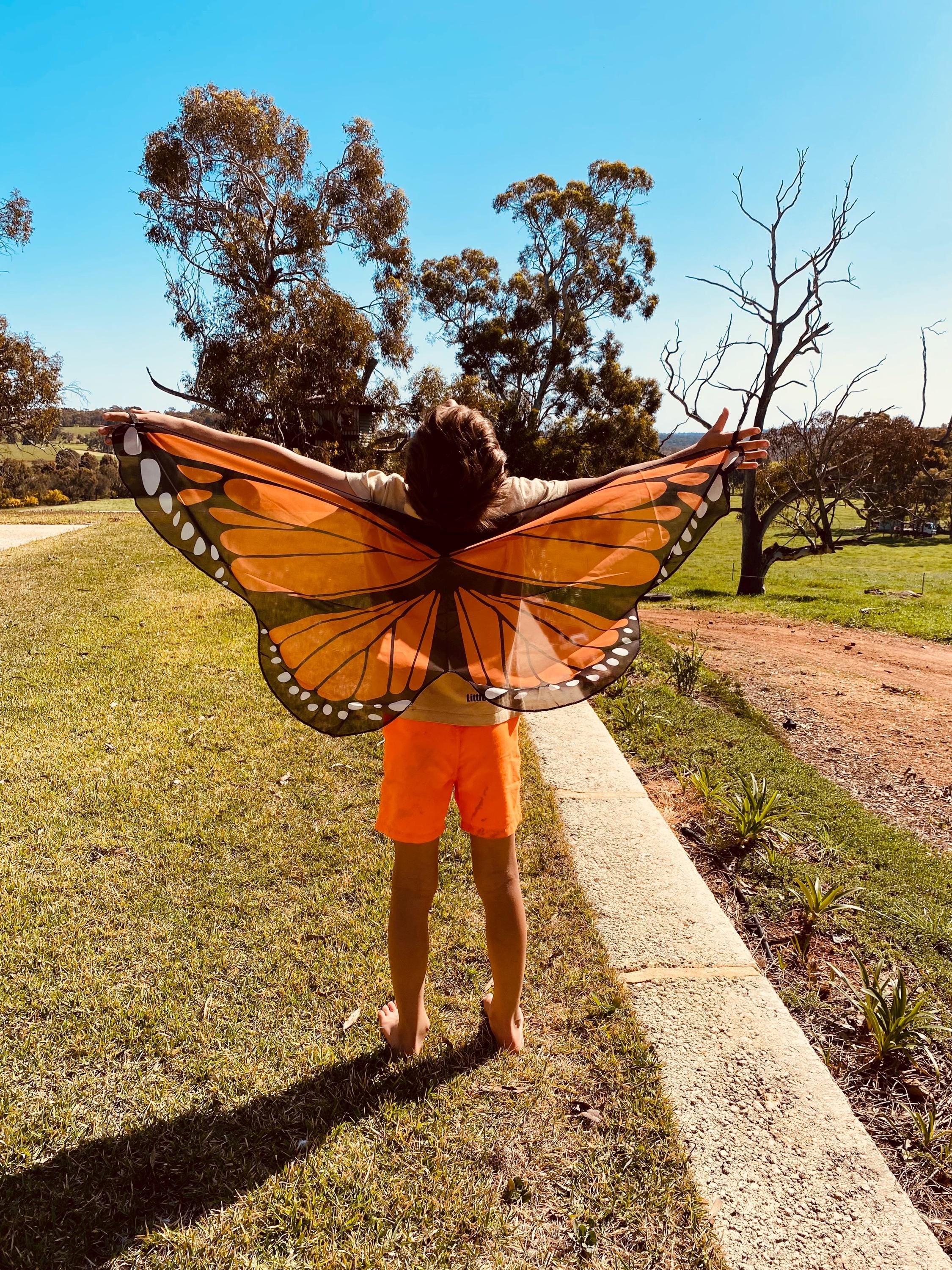 Vibrant butterfly wings for kids, custom chiffon designs with glitter and sparkle, perfect for dress-up or dance.