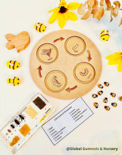 Bee Life Cycle Set: Wooden bee-themed learning set depicting the honeybee’s lifecycle.