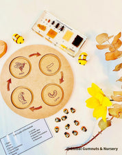 Bee Life Cycle Set: Wooden bee-themed learning set depicting the honeybee’s lifecycle.