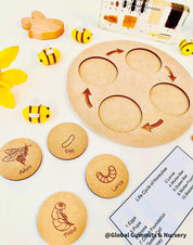 Bee Life Cycle Set: Wooden bee-themed learning set depicting the honeybee’s lifecycle.